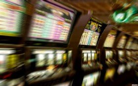 estrela bets